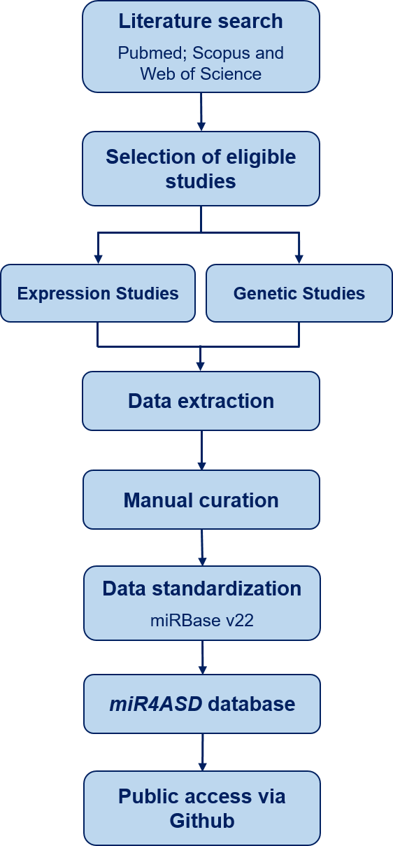Curation & Processing Workflow